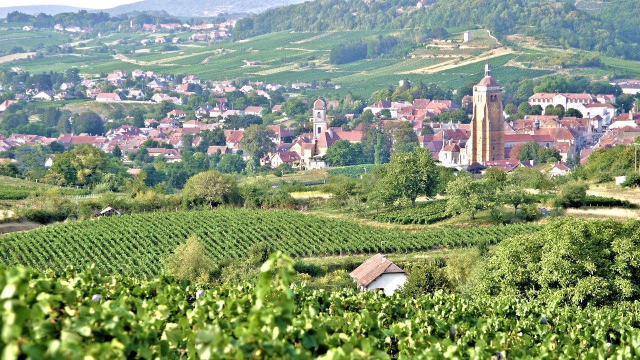 Vue panoramique d'Arbois