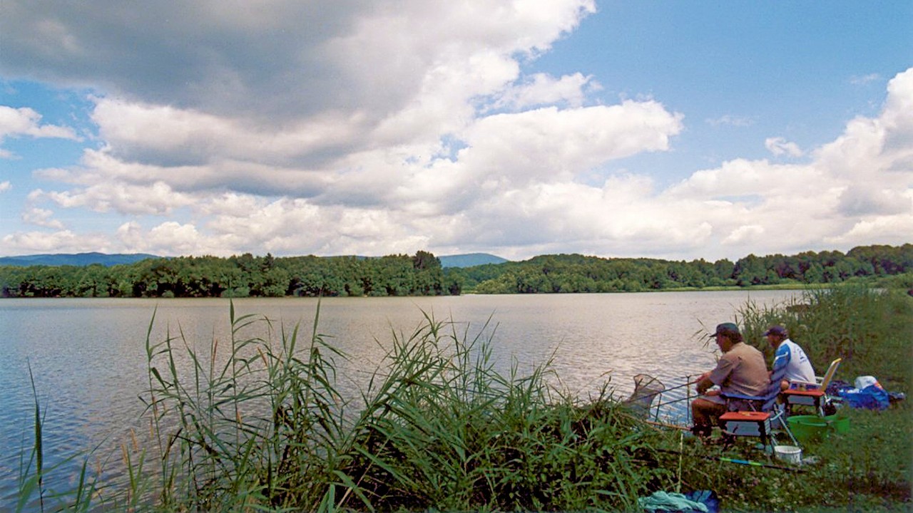 Image of fishing in lake Malsaucy