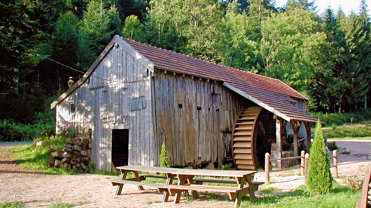 Image of Rasse de Millin
