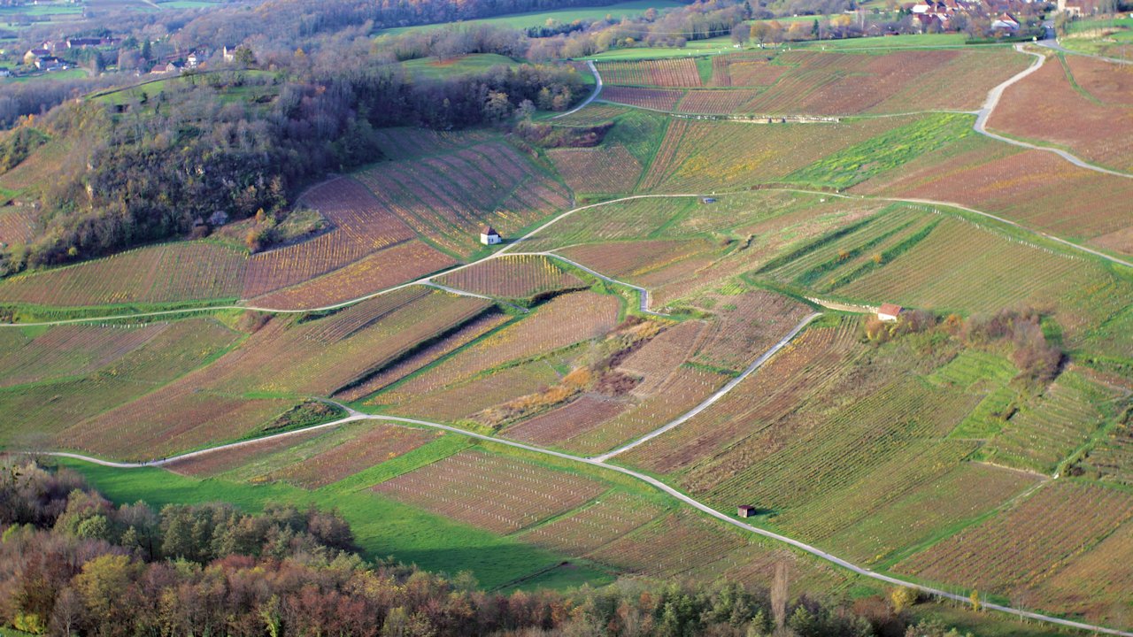 Vue du vignoble de Chateau-Chalon