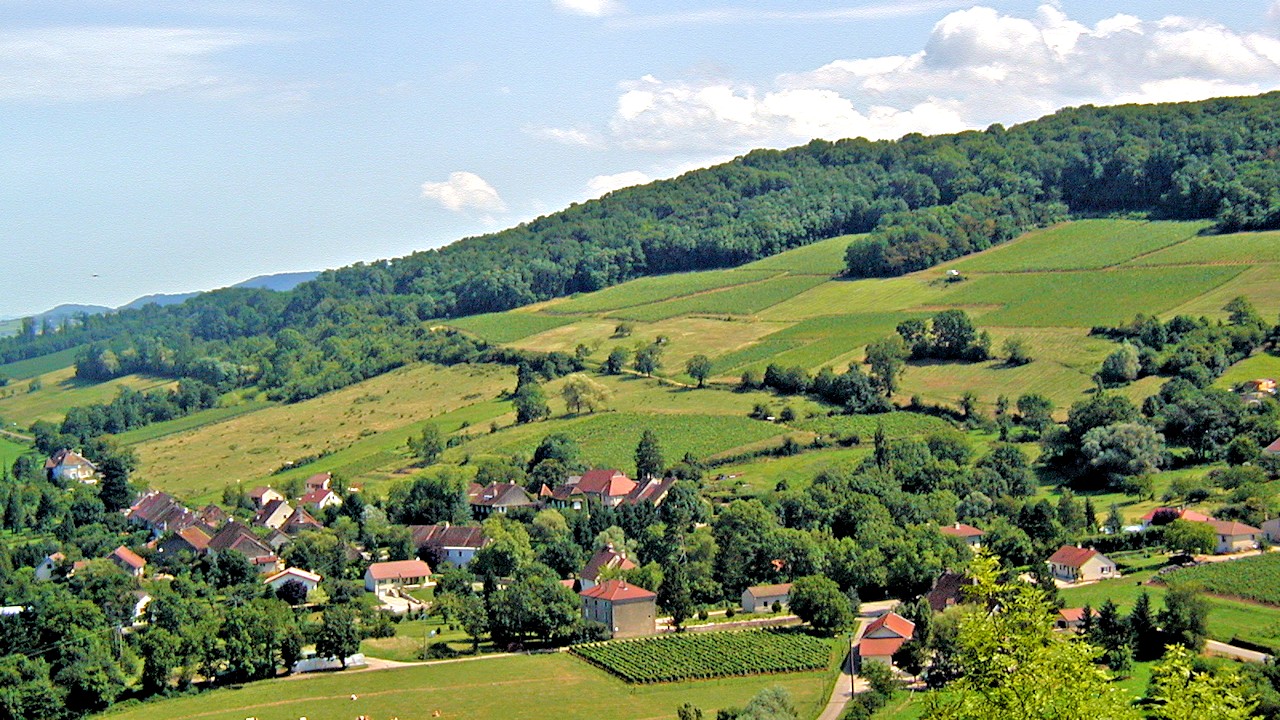 Vignoble de L'Etoile