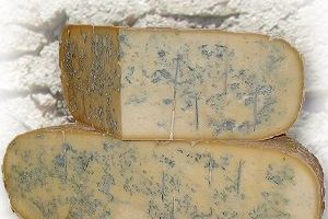 Fromage Bleu de Gex
