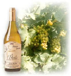vins blancs du Jura