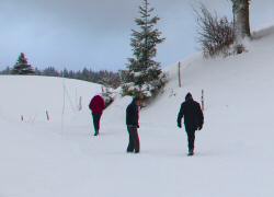 Jura Monts Rivi&egrave;res, site de ski Cerni&eacute;baud
