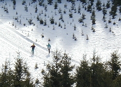 Domaine de ski Grandvaux, site de ski Saint Pierre