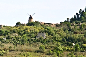 AOC Faugeres, vins du Languedoc