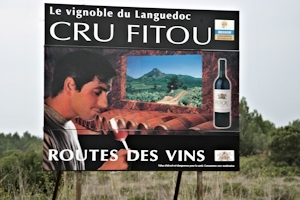 AOC Fitou, vins du Languedoc