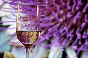 AOC Muscat, vins du Languedoc