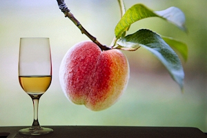 AOC Muscat de Rivesaltes, vins du Roussillon