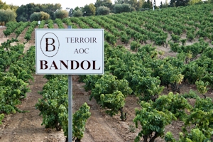 Bandol wine and food pairing tips