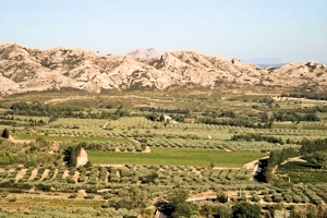 Les Baux de Provence wine and food pairing tips