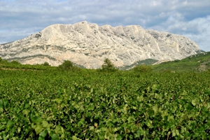 Palette wines and food pairing tips
