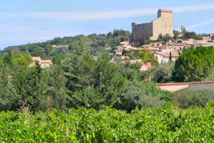 AOC Chateauneuf du Pape, vins des C&ocirc;tes du Rh&ocirc;ne sud