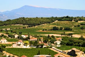 AOC Ventoux, vins des C&ocirc;tes du Rh&ocirc;ne sud